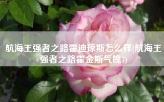 航海王强者之路霍迪琼斯怎么样(航海王强者之路霍金斯气魄7)