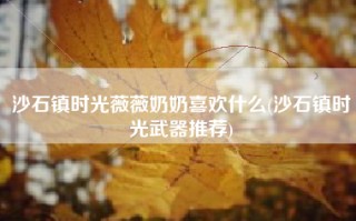 沙石镇时光薇薇奶奶喜欢什么(沙石镇时光武器推荐)