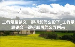 王者荣耀铭文一键拆卸怎么没了_王者荣耀铭文一键拆卸后怎么弄回来