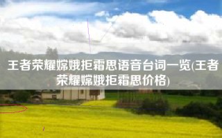 王者荣耀嫦娥拒霜思语音台词一览(王者荣耀嫦娥拒霜思价格)