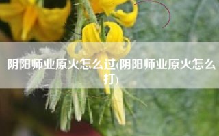 阴阳师业原火怎么过(阴阳师业原火怎么打)