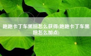 跑跑卡丁车黑妞怎么获得(跑跑卡丁车黑妞怎么加点)