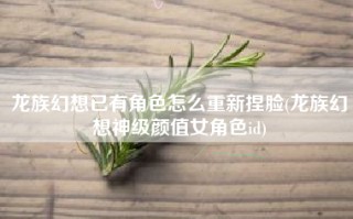 龙族幻想已有角色怎么重新捏脸(龙族幻想神级颜值女角色id)
