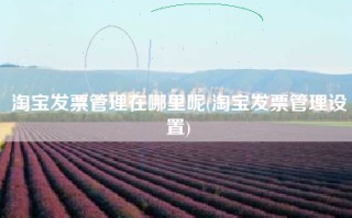 淘宝发票管理在哪里呢(淘宝发票管理设置)
