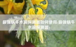 最强蜗牛水滴探测器如何使用(最强蜗牛水滴探测器)