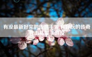 有没最新好完的传世手游,有好玩的传奇合击私服手游没