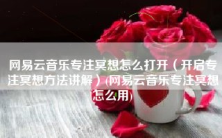 网易云音乐专注冥想怎么打开（开启专注冥想方法讲解）(网易云音乐专注冥想怎么用)