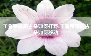 王者荣耀阿古朵如何打野(王者荣耀阿古朵如何移动)