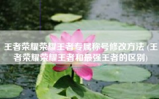 王者荣耀荣耀王者专属称号修改方法 (王者荣耀荣耀王者和最强王者的区别)