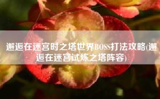 邂逅在迷宫时之塔世界BOSS打法攻略(邂逅在迷宫试炼之塔阵容)