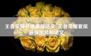 王者荣耀铁炮最强铭文_王者荣耀夏侯惇最强出装和铭文