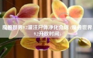 魔兽世界9.2灌注尸体净化介绍 (魔兽世界9.2开放时间)