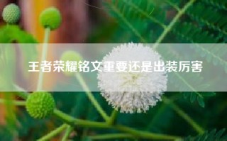 王者荣耀铭文重要还是出装厉害