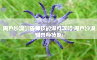 黑色沙漠驯兽师技能爆料攻略(黑色沙漠驯兽师技能)