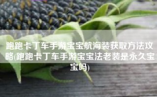 跑跑卡丁车手游宝宝航海装获取方法攻略(跑跑卡丁车手游宝宝法老装是永久宝宝吗)