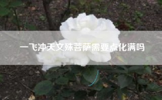 一飞冲天文殊菩萨需要点化满吗