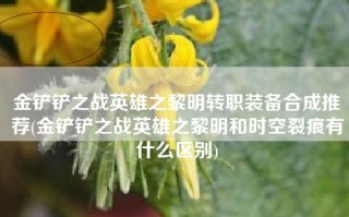 金铲铲之战英雄之黎明转职装备合成推荐(金铲铲之战英雄之黎明和时空裂痕有什么区别)