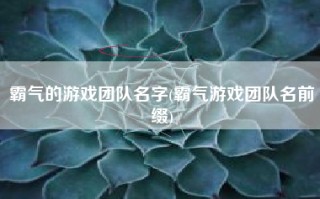 霸气的游戏团队名字(霸气游戏团队名前缀)