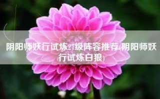 阴阳师妖行试炼27级阵容推荐(阴阳师妖行试炼白狼)