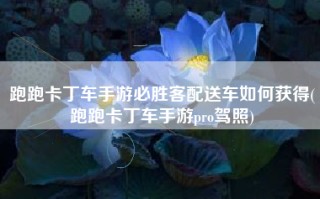 跑跑卡丁车手游必胜客配送车如何获得(跑跑卡丁车手游pro驾照)