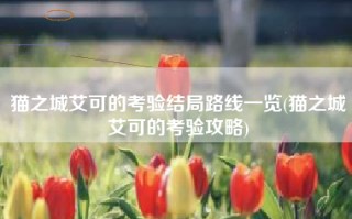 猫之城艾可的考验结局路线一览(猫之城艾可的考验攻略)