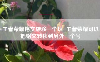 王者荣耀铭文转移一个区_王者荣耀可以把铭文转移到另外一个号