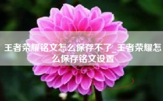 王者荣耀铭文怎么保存不了_王者荣耀怎么保存铭文设置