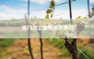 奇门之上强势角色推荐