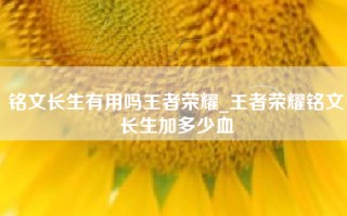 铭文长生有用吗王者荣耀_王者荣耀铭文长生加多少血