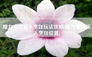 魔力宝贝旅人烹饪玩法攻略(魔力宝贝旅人烹饪位置)