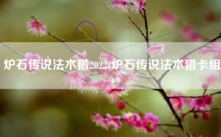 炉石传说法术猎2022(炉石传说法术猎卡组)