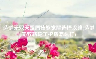 造梦无双天罡盾技能觉醒选择攻略(造梦无双转轮王护盾怎么打)