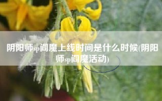 阴阳师sp阎魔上线时间是什么时候(阴阳师sp阎魔活动)
