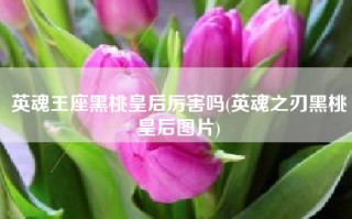 英魂王座黑桃皇后厉害吗(英魂之刃黑桃皇后图片)