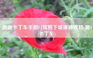 跑跑卡丁车手游L1驾照下坡漂移攻略(趣8卡丁车)