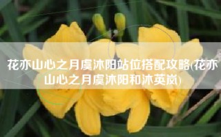 花亦山心之月虞沐阳站位搭配攻略(花亦山心之月虞沐阳和沐英岚)