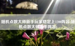 随机点数大师新手玩家稳定上1200阵容(随机点数大师新手阵容)
