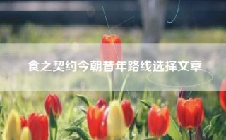 食之契约今朝昔年路线选择文章