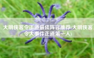 大明侠客令正道最佳阵容推荐(大明侠客令大事件正道第一人)