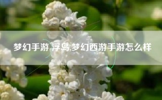 梦幻手游 浮岛,梦幻西游手游怎么样