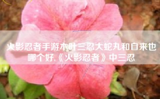 火影忍者手游木叶三忍大蛇丸和自来也哪个好,《火影忍者》中三忍