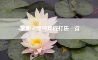 黎明之路棒球棍打法一览