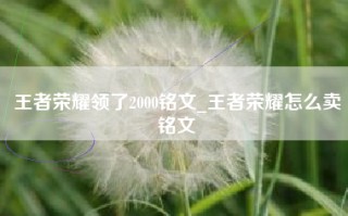 王者荣耀领了2000铭文_王者荣耀怎么卖铭文