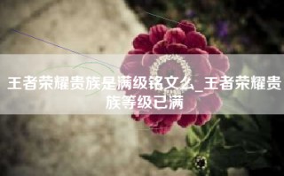王者荣耀贵族是满级铭文么_王者荣耀贵族等级已满
