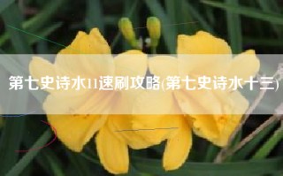 第七史诗水11速刷攻略(第七史诗水十三)