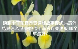 跑跑卡丁车官方竞速版故事模式1-6意外结局怎么过(跑跑卡丁车官方竞速版 哪个车最好)