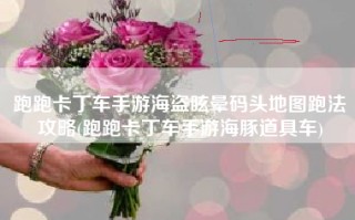跑跑卡丁车手游海盗眩晕码头地图跑法攻略(跑跑卡丁车手游海豚道具车)