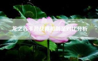 龙之谷手游战神和剑圣对比分析