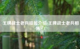 王牌战士老兵技能介绍(王牌战士老兵相簿)_1