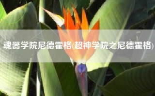 魂器学院尼德霍格(超神学院之尼德霍格)